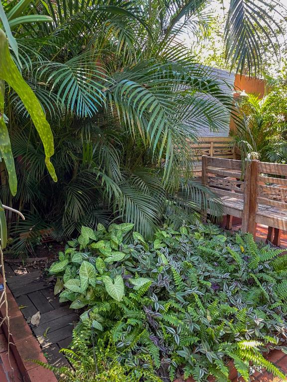 Jardim externo com plantas e banco de madeira
