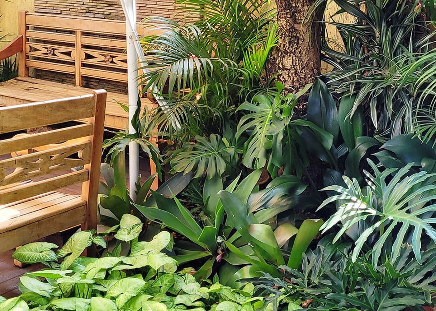 Área externa com jardim na Pousada dos Franceses